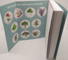 Franziska Rubin: 10 Kräuter gegen 100 Krankheiten 
