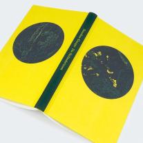 Dorothee Elmiger: Die Holländerinnen 