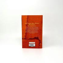 Charlotte Wiedemann: Den Schmerz der Anderen begreifen 