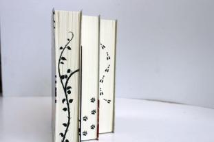 Sigrun Zühlke, Christina Henry: Die Chroniken von Alice - Dunkelheit im Spiegelland 