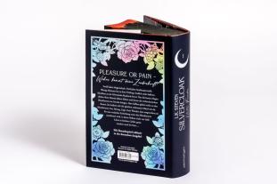 Maike Hallmann, L. K. Steven, L.K. Steven: Silvercloak - Unter Feinden 