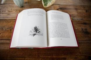 Cornelia Funke: Tintenwelt 1. Tintenherz 