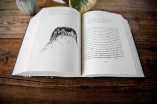 Cornelia Funke: Tintenwelt 2. Tintenblut 