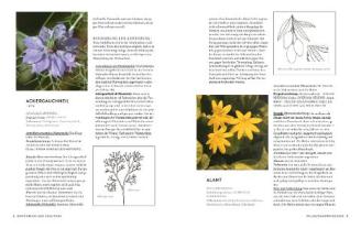 Mannfried Pahlow: Das große Buch der Heilpflanzen 