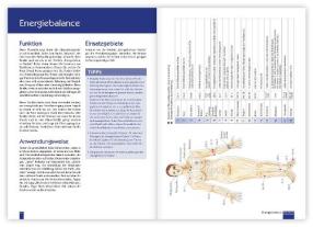 Christina Baumann, Roswitha Stark: Praxisbuch Neue Homöopathie 