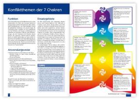 Christina Baumann, Roswitha Stark: Praxisbuch Neue Homöopathie. Band 2 