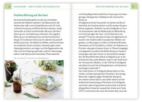 Barbara Simonsohn: Die Schafgarbe - Alleskönnerin unter den Heilpflanzen 