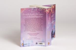 Emily Stone: Für immer im Dezember 