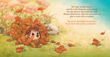Sophie Schoenwald, Nadine Reitz: Schlaf schön, kleiner Igel 