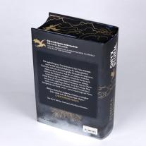 Michelle Gyo, Julia Schwenk, Rebecca Yarros, Melanie Korte: Onyx Storm – Flammengeküsst 