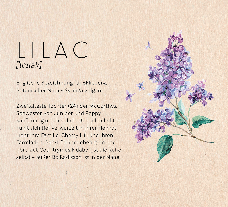 Lilly Lucas: A Place to Grow 