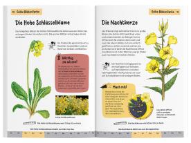 Heike Herrmann, Ursula Stichmann-Marny: Was blüht denn da? Kindernaturführer 