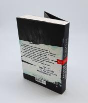 Ragnar Jonasson: Blindes Eis 