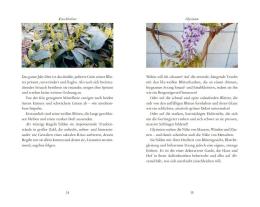 Hanns-Josef Ortheil: Kunstmomente 