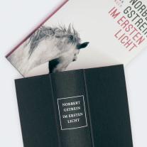 Norbert Gstrein: Im ersten Licht 