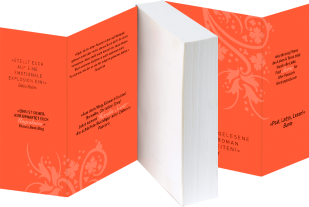 Nicole Hölsken, Ursula C. Sturm, Corinna Vierkant-Enßlin, Anna Todd: After love 