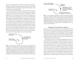 Angelika Doerne, Laurence Heller: Befreiung von Scham und Schuld 