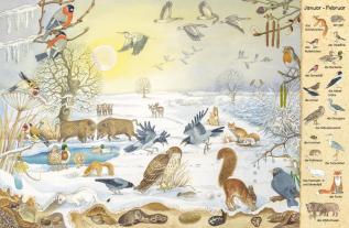 Christine Henkel: Mein erstes Wimmelbuch: Jahreszeiten 