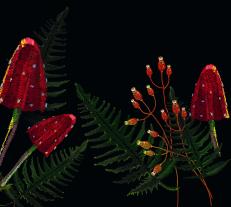 Carmen Korn: Vorstadtprinzessin 