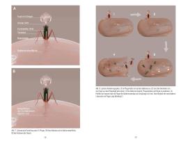 Thomas Dr. Häusler, Thomas Häusler, Christian Kühn, Christian Prof. Dr. med. Kühn: Bakteriophagen 