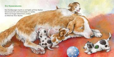 Anne Möller: Hör mal (Soundbuch): Die Tierkinder 