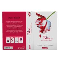 Sylke Hachmeister, Stephenie Meyer: Biss zur Mittagsstunde (Bella und Edward 2) 