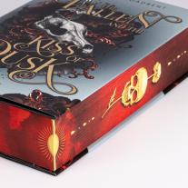 Heike Holtsch, Carissa Broadbent, Kristina Flemm: The Fallen and the Kiss of Dusk (Crowns of Nyaxia 4) 
