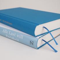 Konrad Paul Liessmann: Alle Lust will Ewigkeit 