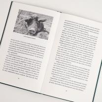 Florian Klenk: Bauer und Bobo 