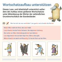 Stefanie Drecktrah, Mareike Hahn: Lesen mit Rico Schnabel, Heft 6: Texte - silbierte Ausgabe 