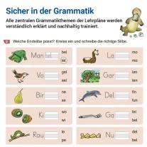 Stefanie Drecktrah, Mareike Hahn: Grammatik mit Rico Schnabel, Klasse 2 - silbierte Ausgabe 