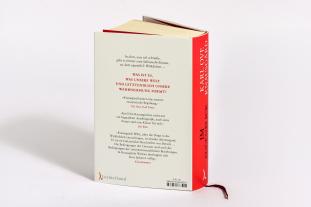 Paul Berf, Karl Ove Knausgård: Im Augenblick 