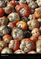 Joachim Barig: Kürbis: gesund · schmackhaft · dekorativ (Tischkalender 2023 DIN A5 hoch) 