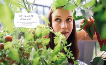 Fühl dich Löwenzahn: Dein fantastischer Balkongarten 