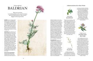 Karin Buchart, Miriam Wiegele, Andreas Leitner: Die Natur-Apotheke 