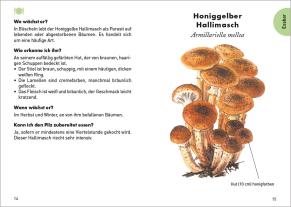 Charles Zettel, Theodor Svarc: Anaconda Taschenführer Pilze. 59 Arten entdecken und bestimmen 