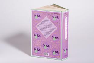 Gustave Flaubert: Gustave Flaubert, Madame Bovary 