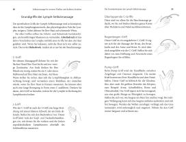 Lisa Levitt Gainsley: Die heilende Kraft der Lymphe 