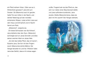 Sandra Grimm, Silvia Christoph: Silberwind, das weiße Einhorn (Band 1) - Der verzauberte Spiegel 