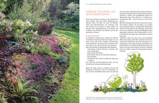 Aurélien Davroux: Wächst fast ohne Wasser 