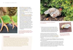 Katrin Sewerin: Hilfe, mein Huhn niest! 