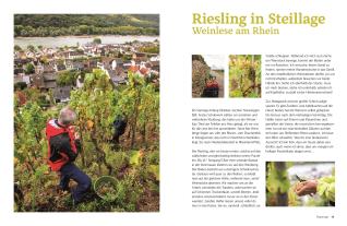 Christiane Leesker, Vanessa Jansen: Die echte Winzerküche 