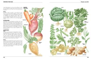 John Seymour, Will Sutherland, DK Verlag: Das neue Buch vom Leben auf dem Lande 