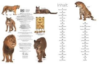 Susanne Schmidt-Wussow, DK Verlag - Kids, Juliet Clutton-Brock: memo Wissen. Katzen 