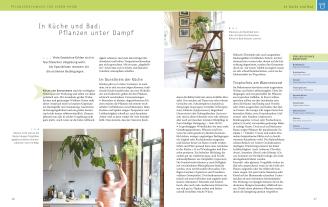 Karin Greiner, Angelika Weber: Zimmerpflanzen 