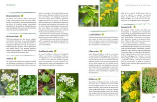 Wolf-Dieter Storl: Der Selbstversorger: Mein Gartenwissen 