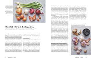 Teubner, Teubner: Das große Buch der Saucen 