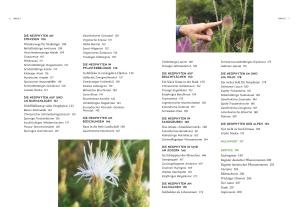 Jürgen Feder: Der Segen der Einwanderer 