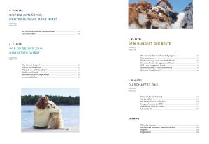 Antje Hebel: Herz über Kopf 