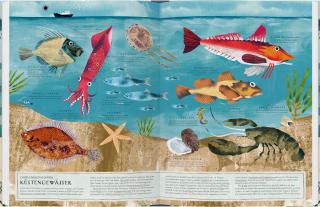 Judith Homoki, Martin Haake: Am Meer 